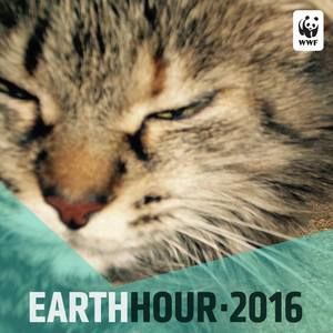 Meet your Posher, Dessislava